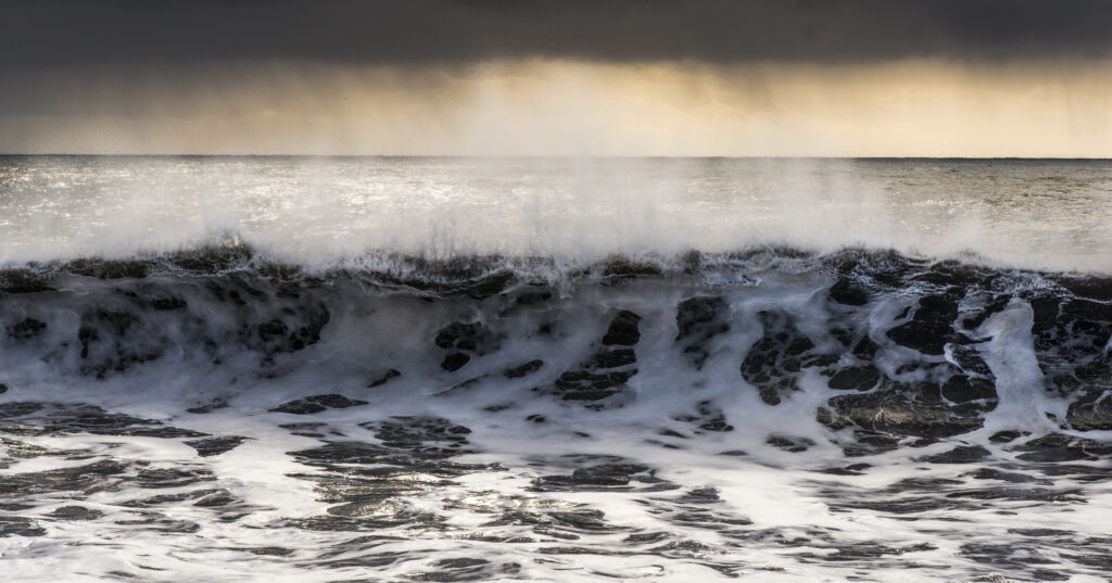 The Wave