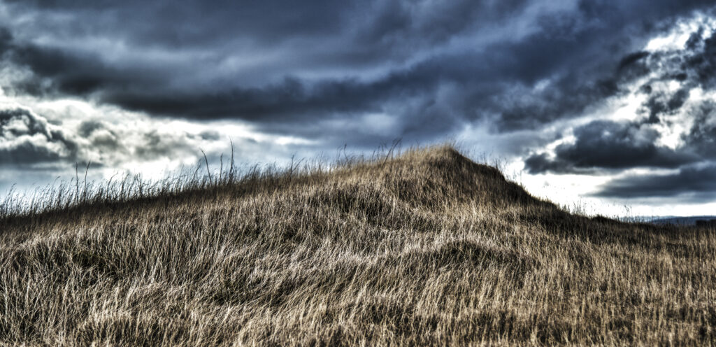 Grasshill