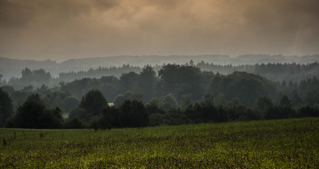 Dawn