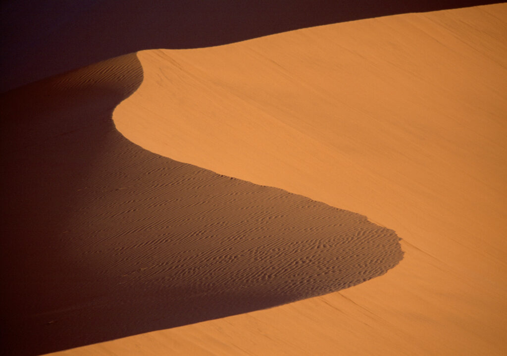 Dune 45