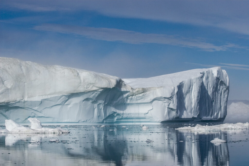 Icy Whale