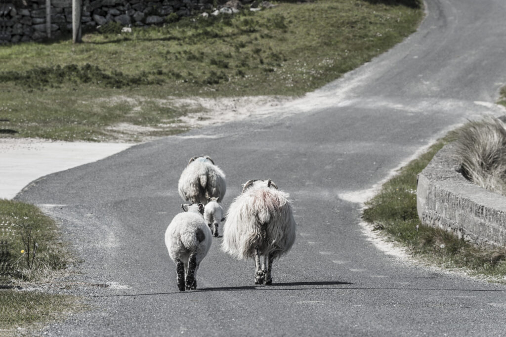 Spaziergang