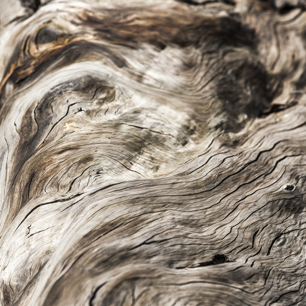 Serengeti Wood