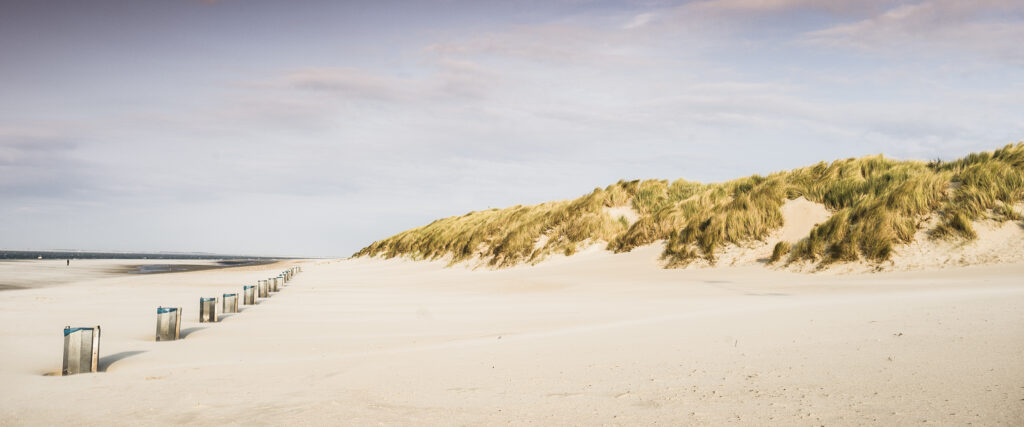 Zeeland Beach 2