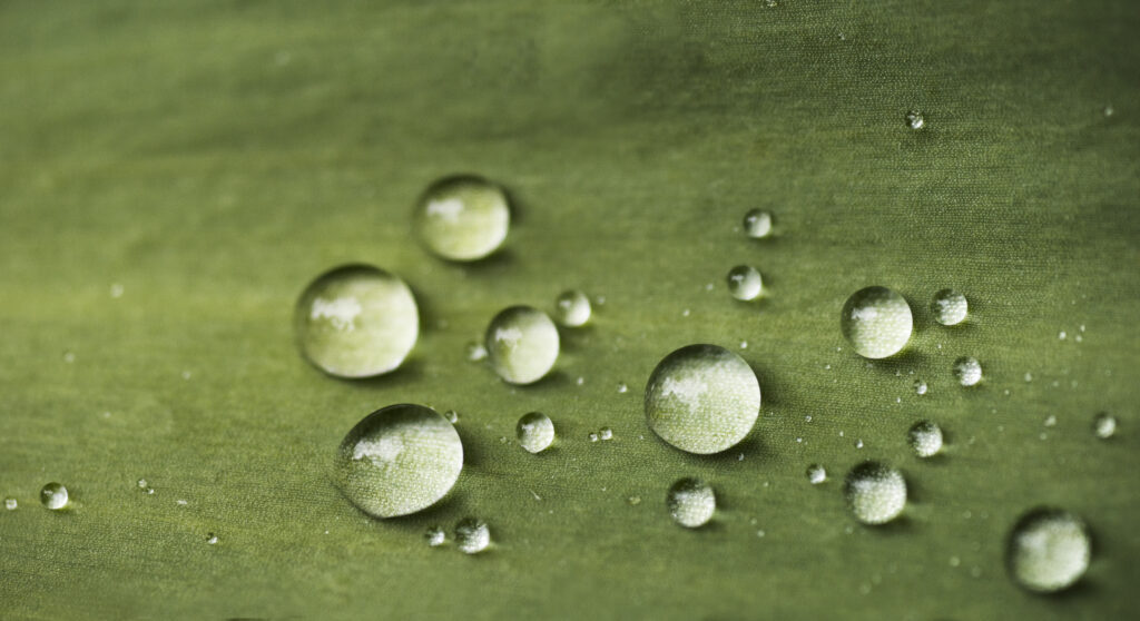 Teardrops2