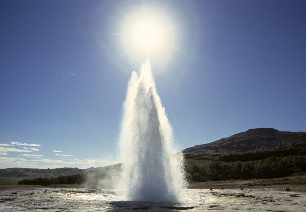 Sunny Splash