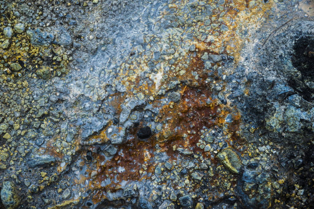 Naturecolour