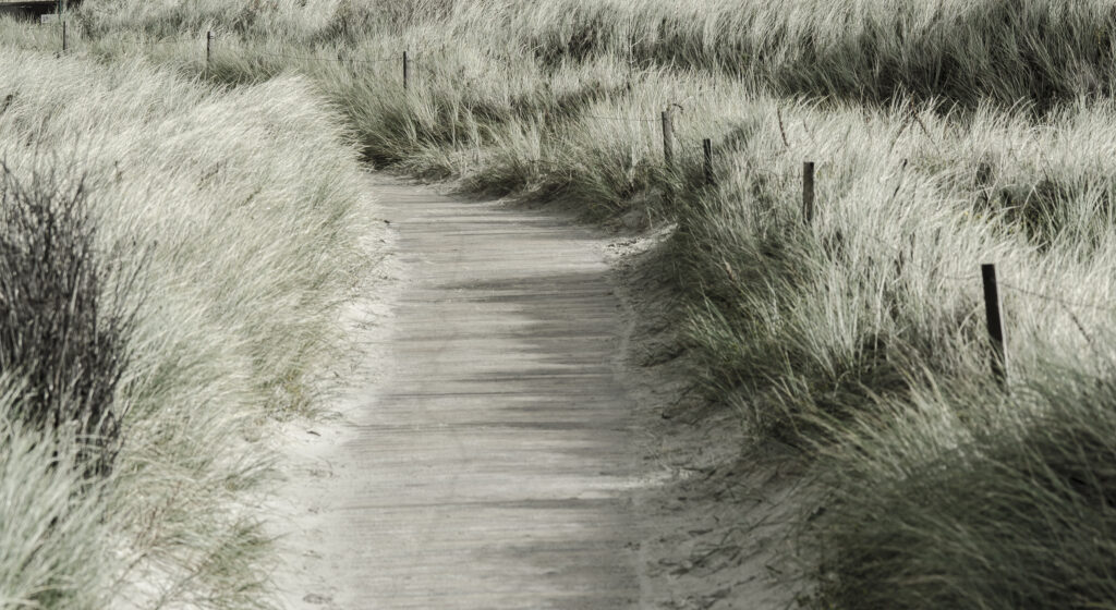 Pathway