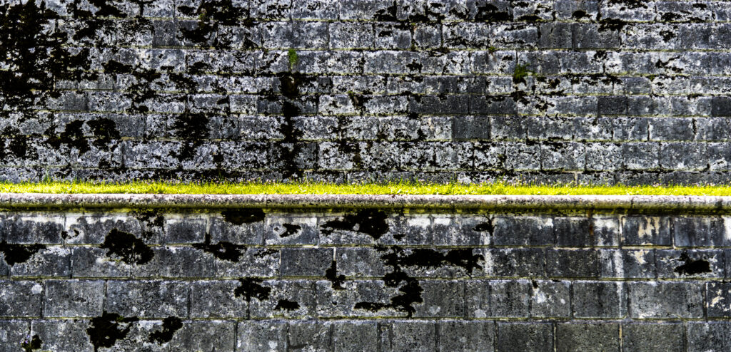 Streif am Horizont