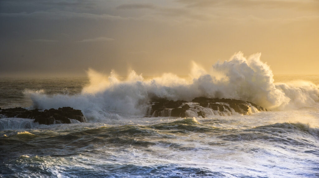 Wave