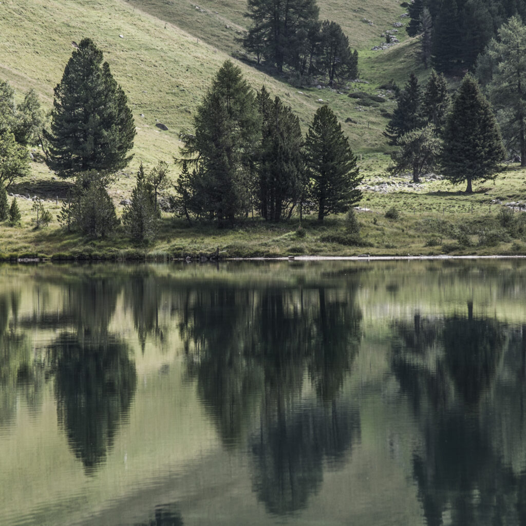 Ser schöne See