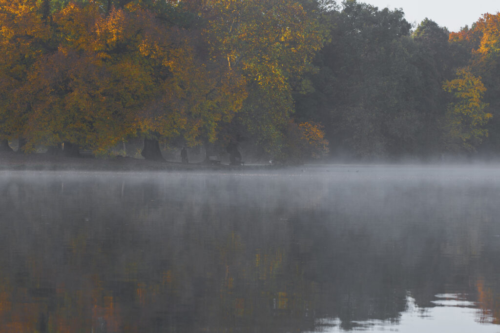 Morgennebel