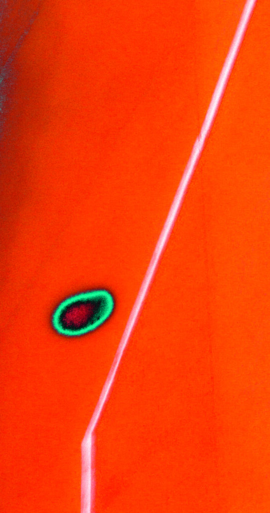 Reduced in orange
