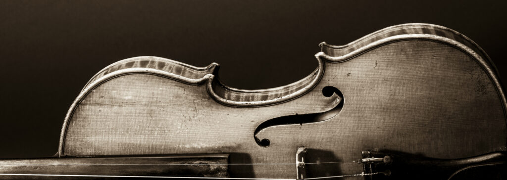 My Violin