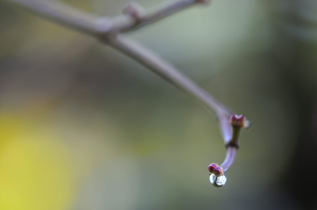 One Drop Left