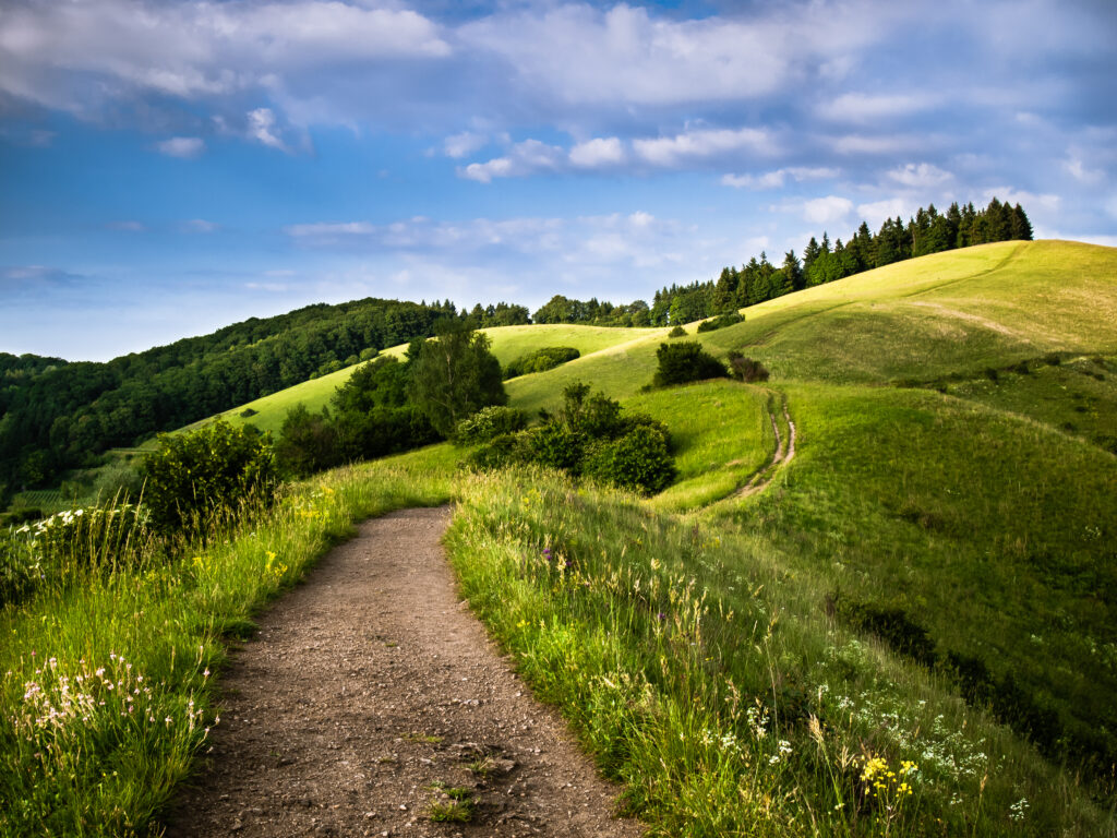 Der Sommer kam und ging