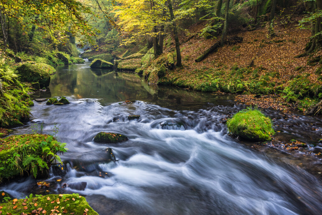 Herbstlicher Bach in der Böhmischen Schweiz