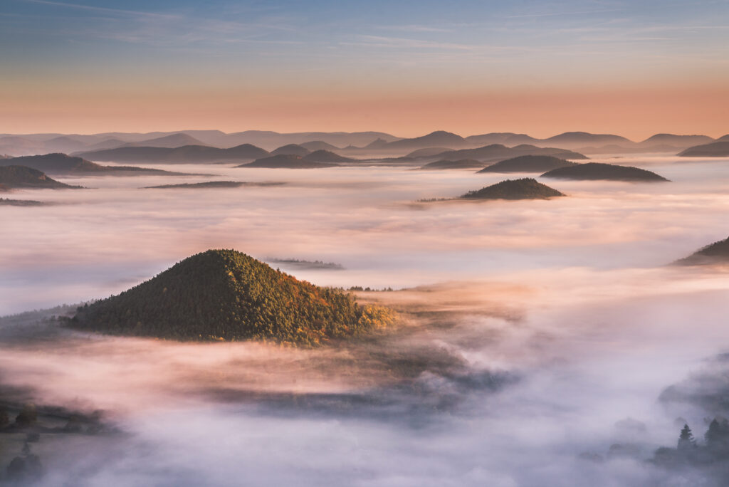 Hügel des Pfälzer Waldes im Nebel