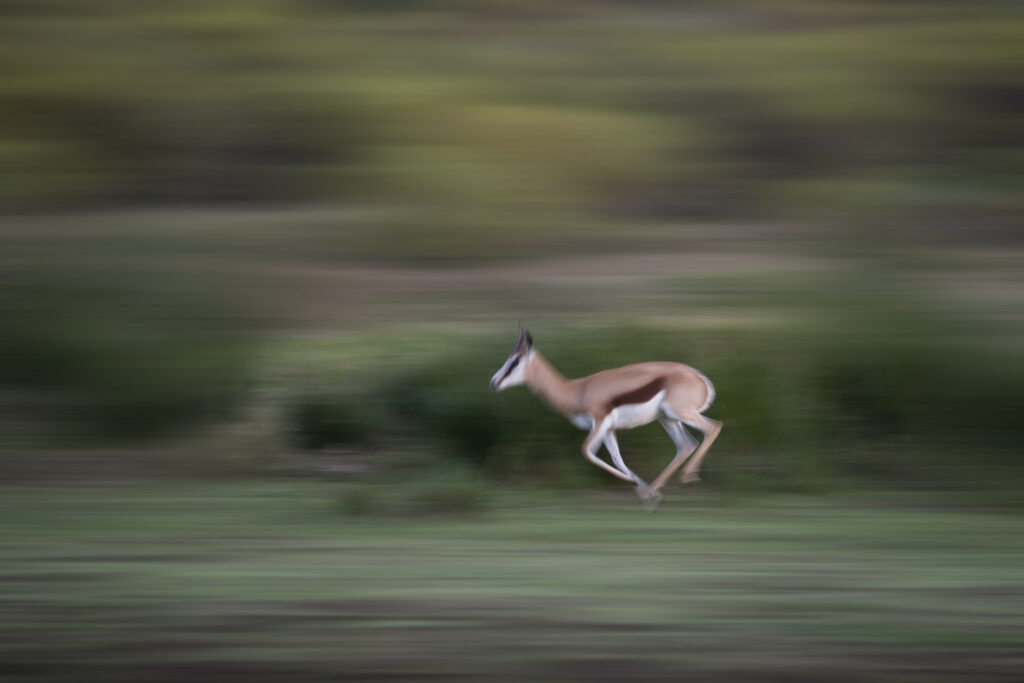 Running