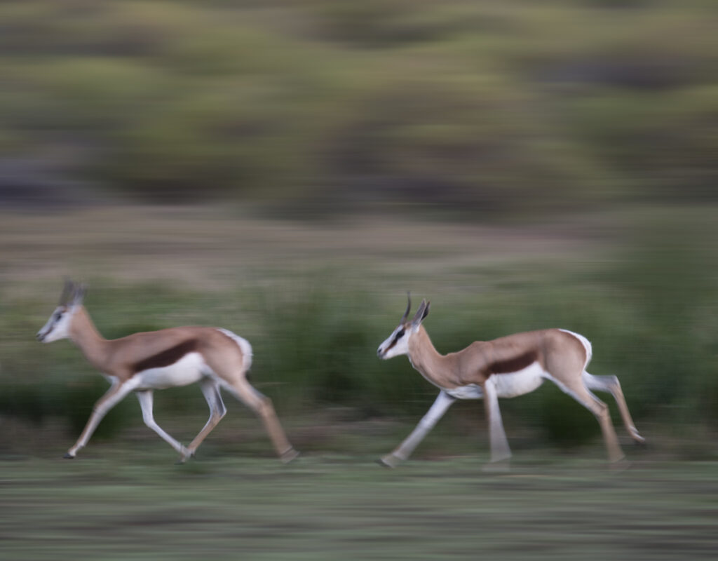 Running 2