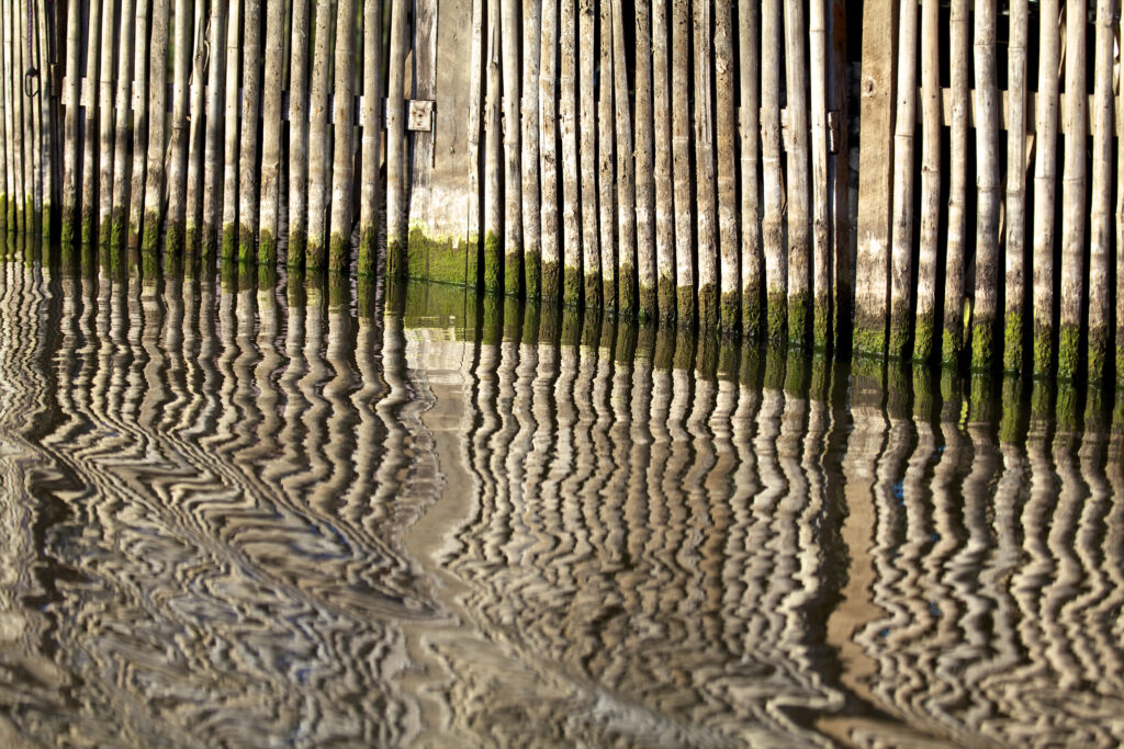 Art of Waves 4