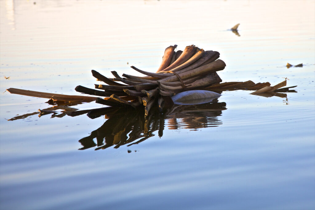 Floating Bunch (2)