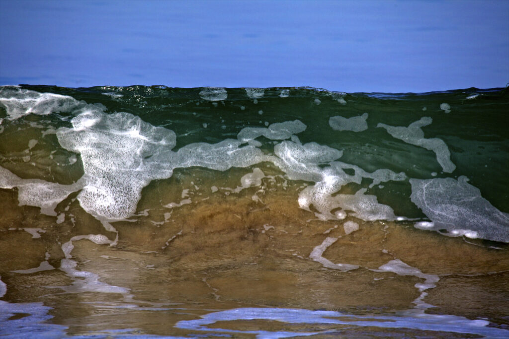 Wave 2 (2)