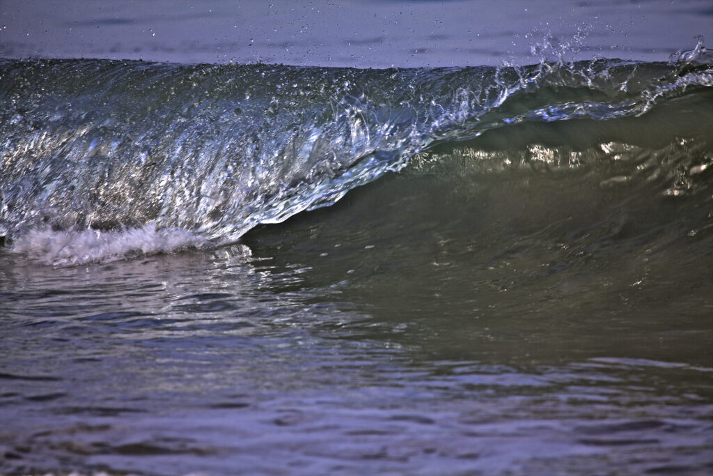 Wave 1 (2)