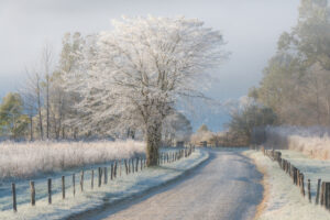 A Frosty Morning
