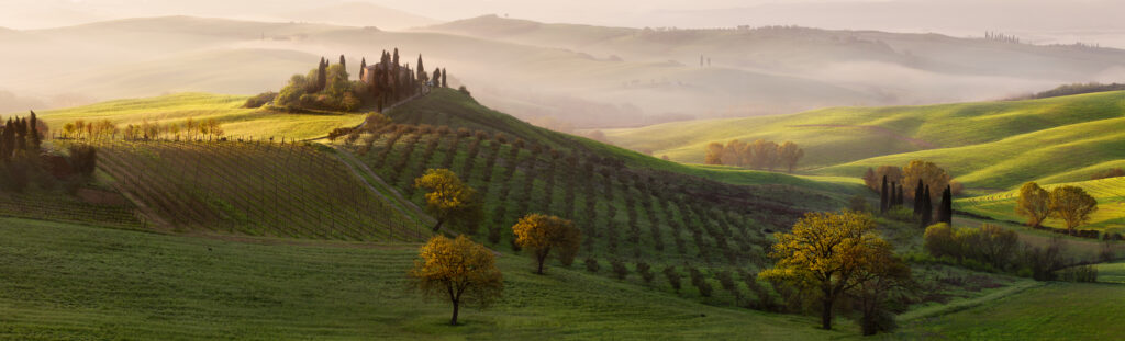 Tutte le strade portano a Belvedere