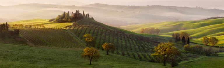 Tutte le strade portano a Belvedere