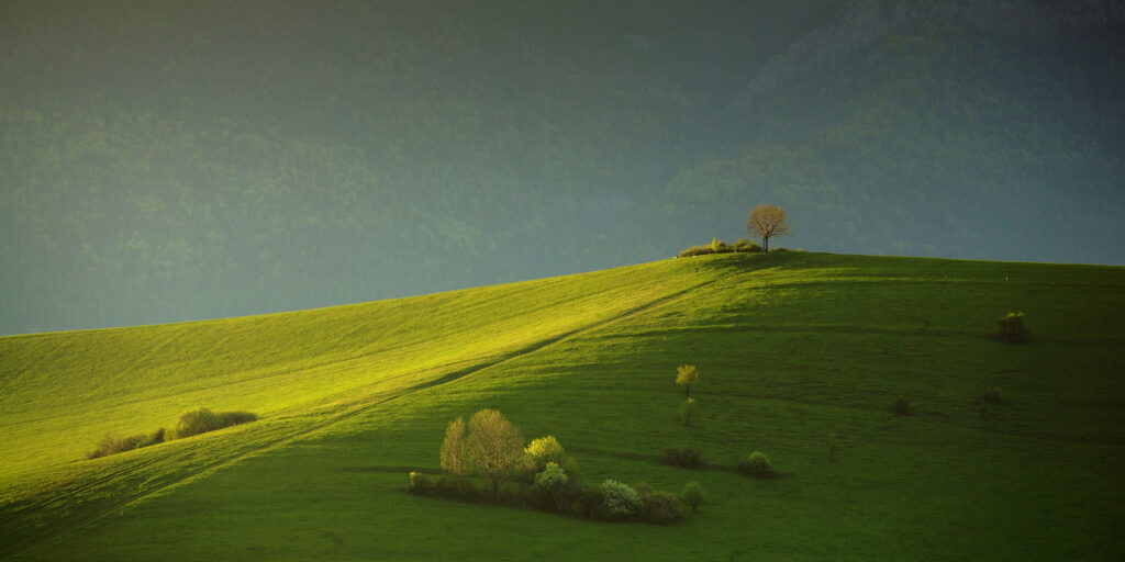 painted with light ...