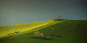 painted with light …