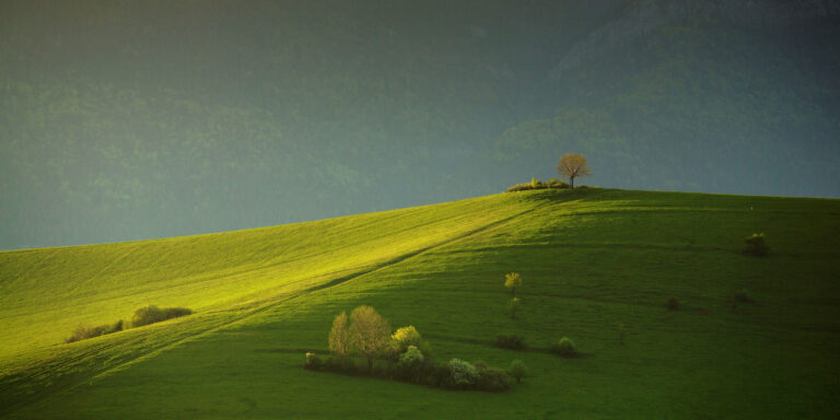painted with light …