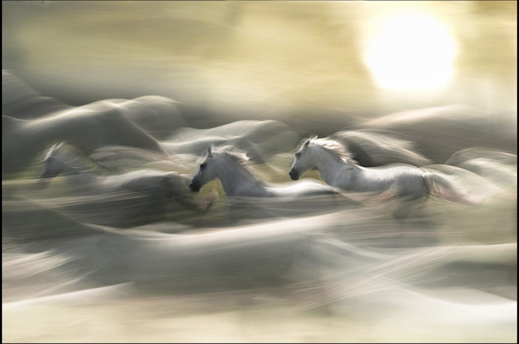 morning dream