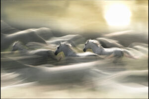 morning dream