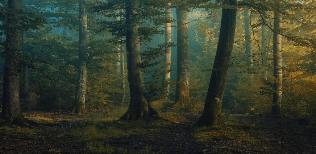 october colors