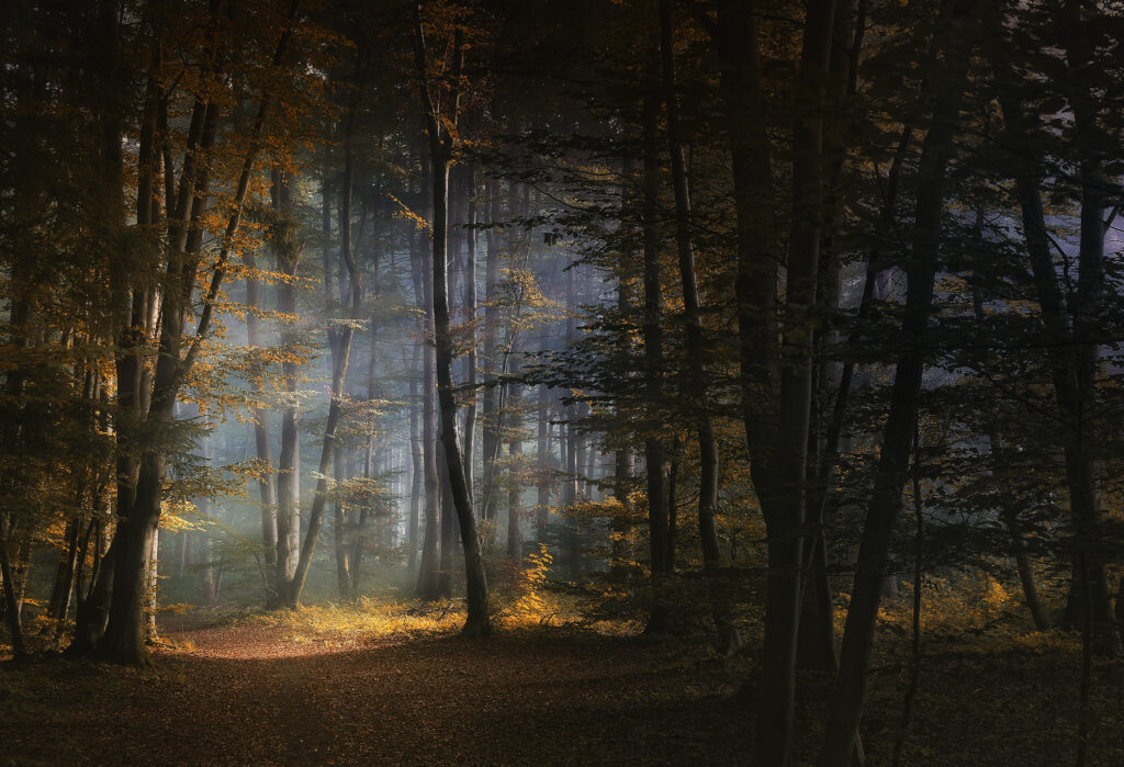 Light