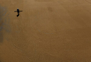 Lonely man