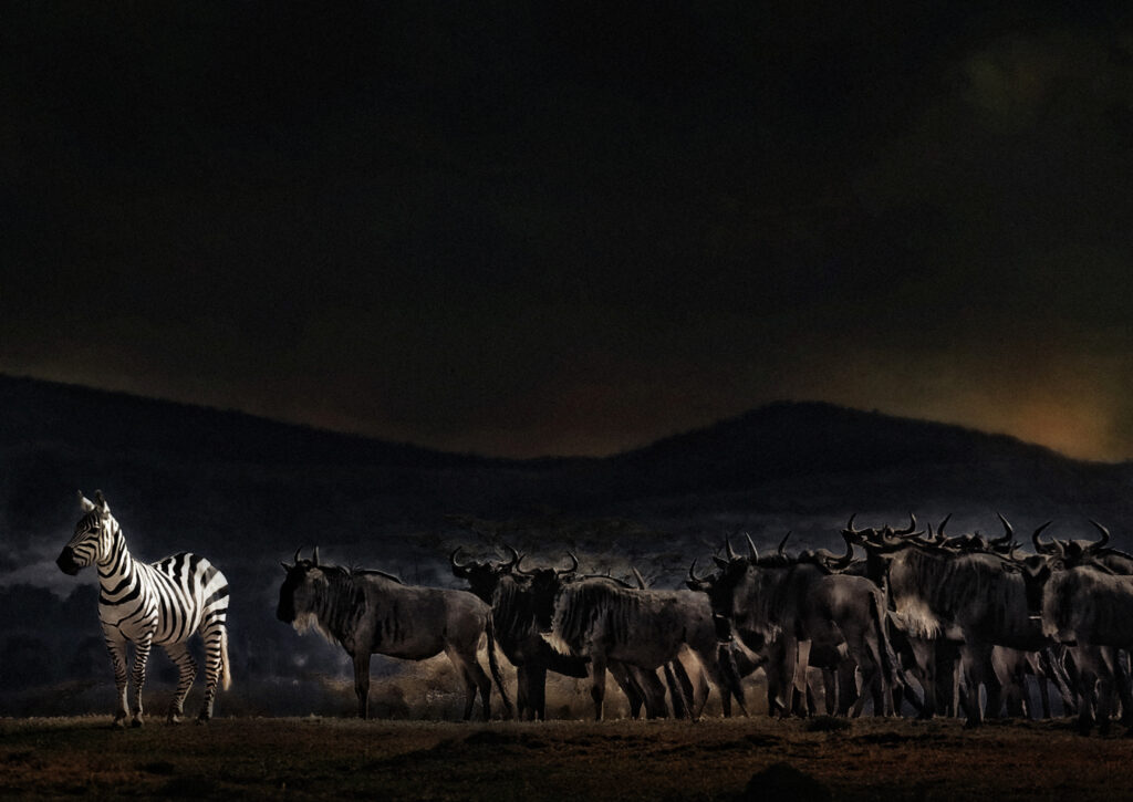 an evening in Kenya