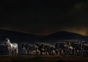 an evening in Kenya
