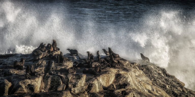 morning shower on diaz point