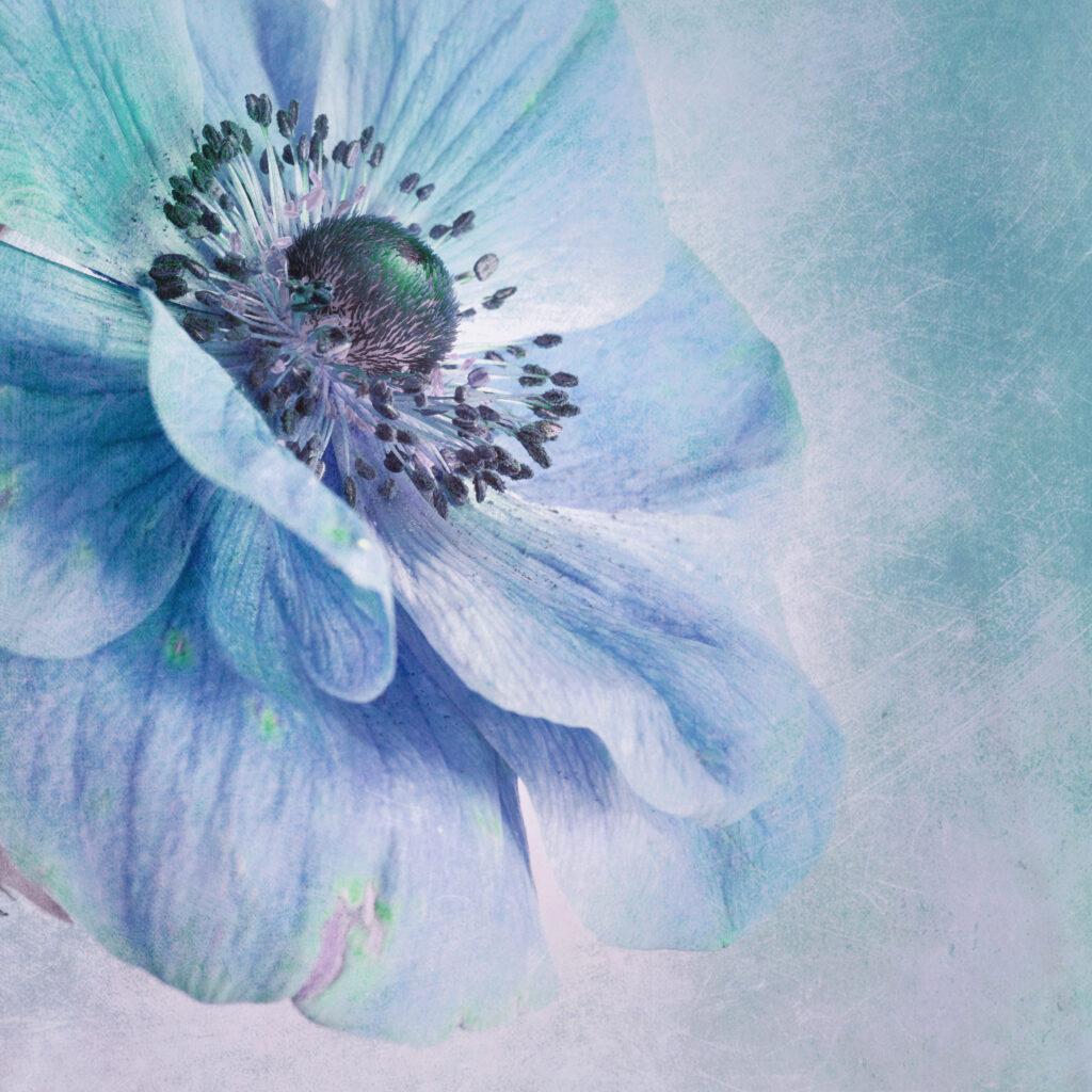 shades of blue