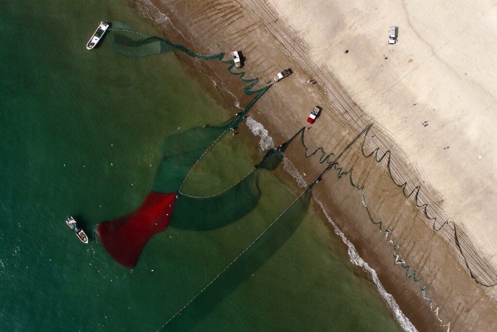 UAE Coasts