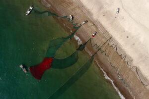 UAE Coasts