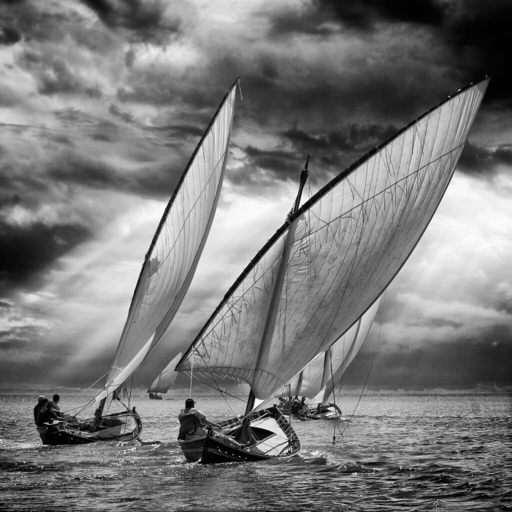 Sailboats and light