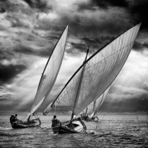 Sailboats and light