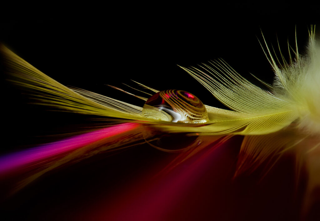 Colors in the drop
