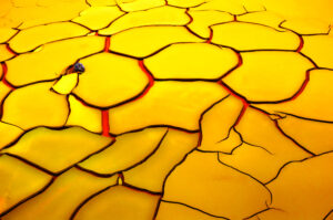 Yellow ground, red heart