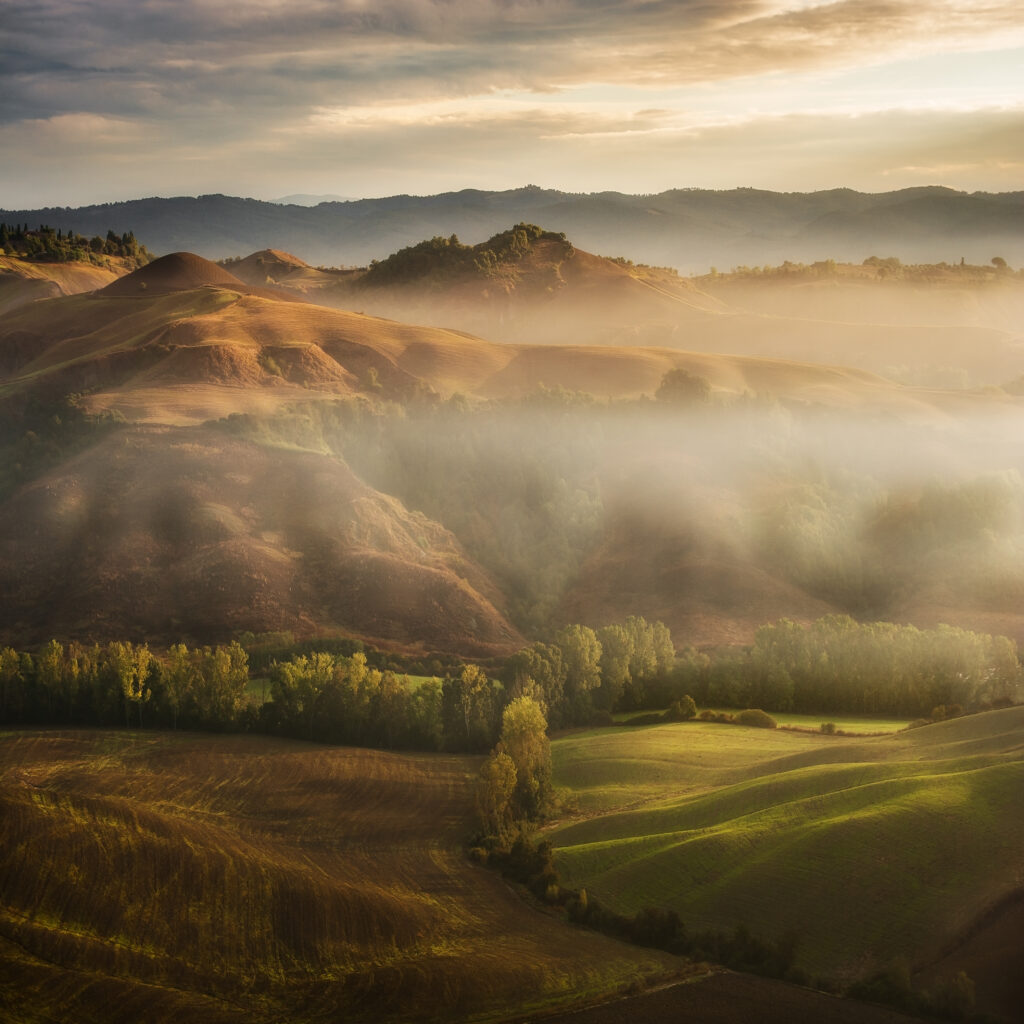 Mystical waving fields Tuscany